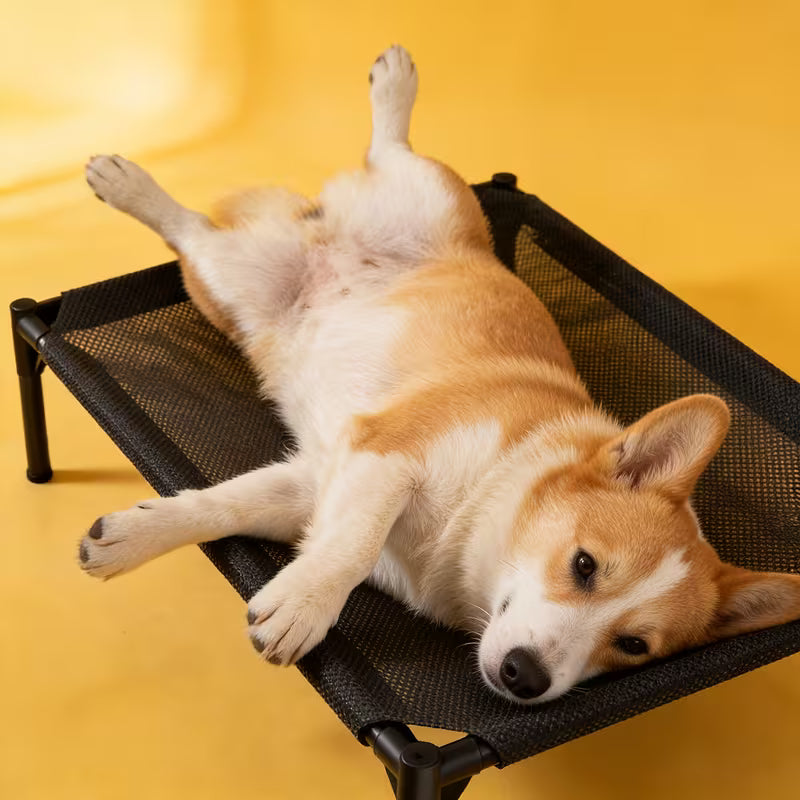 Breathable Elevated Pet Bed for Dogs & Cats