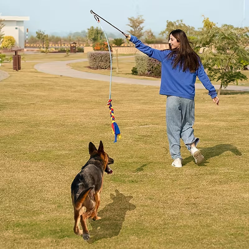 Interactive Dog Teaser Wand with Rope