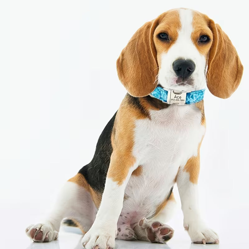 Customizable Heavy-Duty Dog Collar for Large Dogs