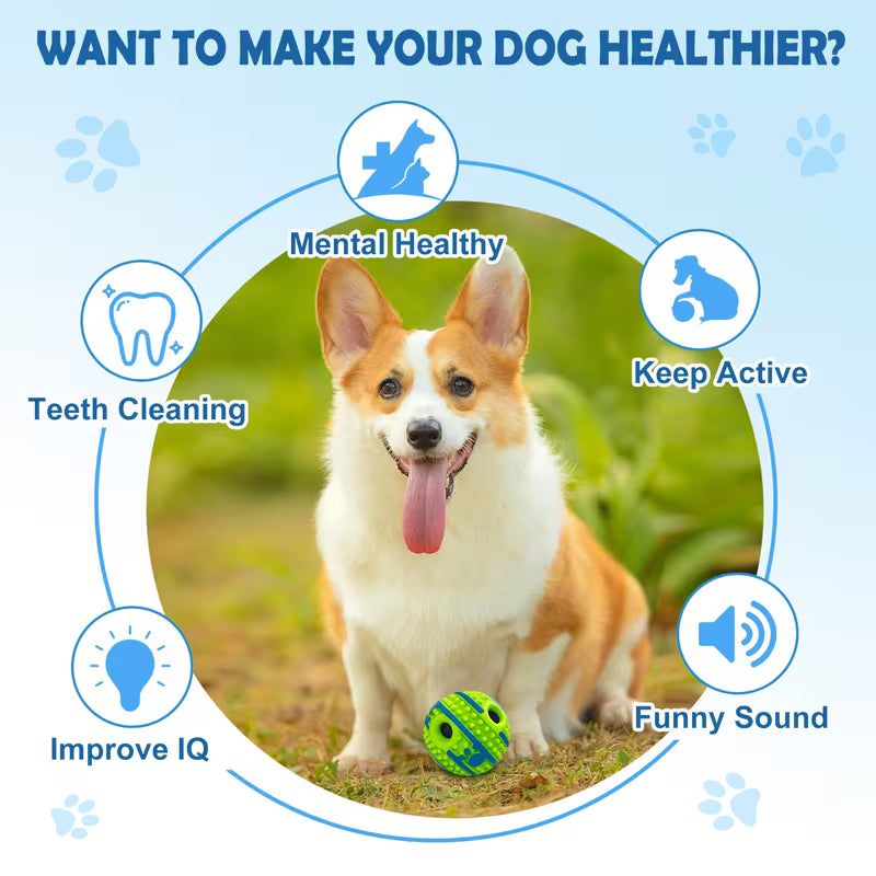 Interactive Rolling Dog Ball with Sound – Battery-Free Dog Toy