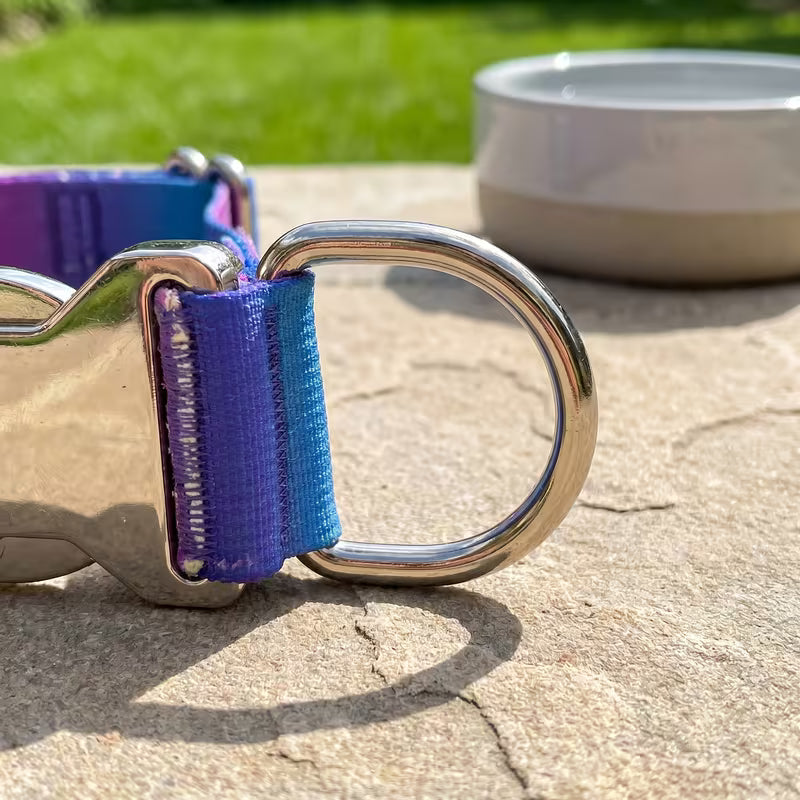 Blue Purple Gradient Tactical Dog Collar