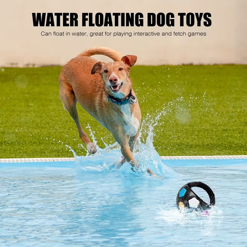 Calming Squeaky Floating Dog Ball – Fetch & Play